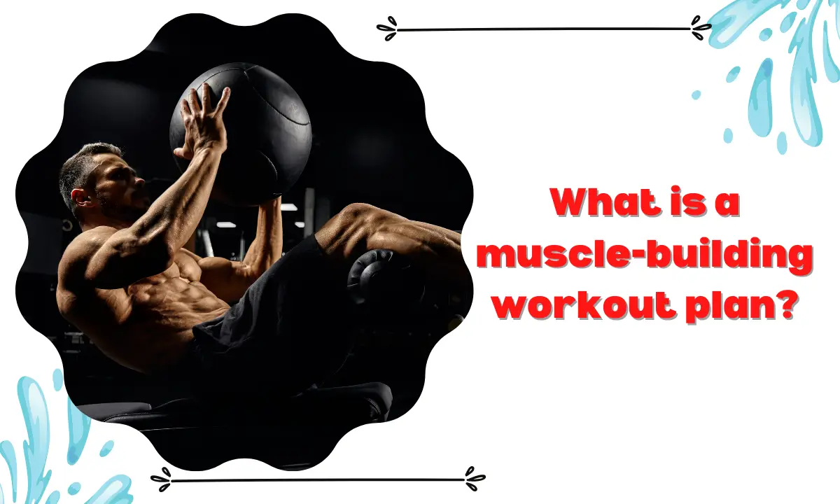 What is a muscle-building workout plan?
